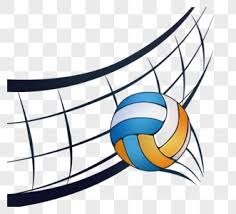 两千斤野公牛秀肌肉，附近雄狮想饱餐一顿，3头雄狮都不是对手