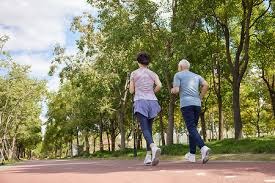 官方：波兰名哨马齐尼亚克将执法欧冠米兰vs费耶诺德