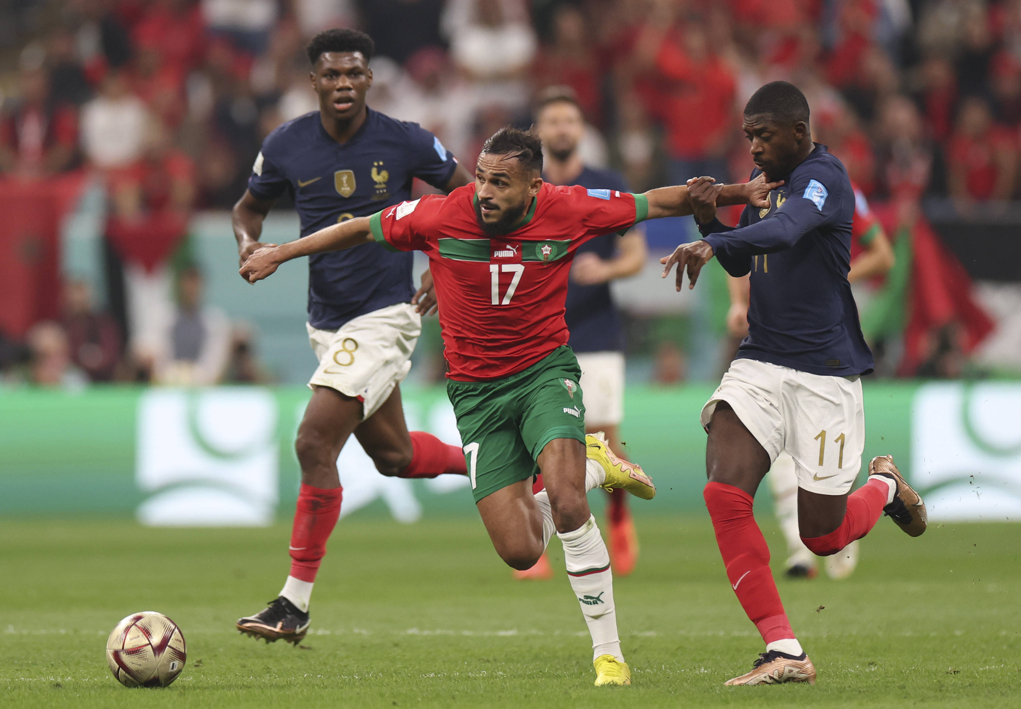 球队和球员 球队和球员